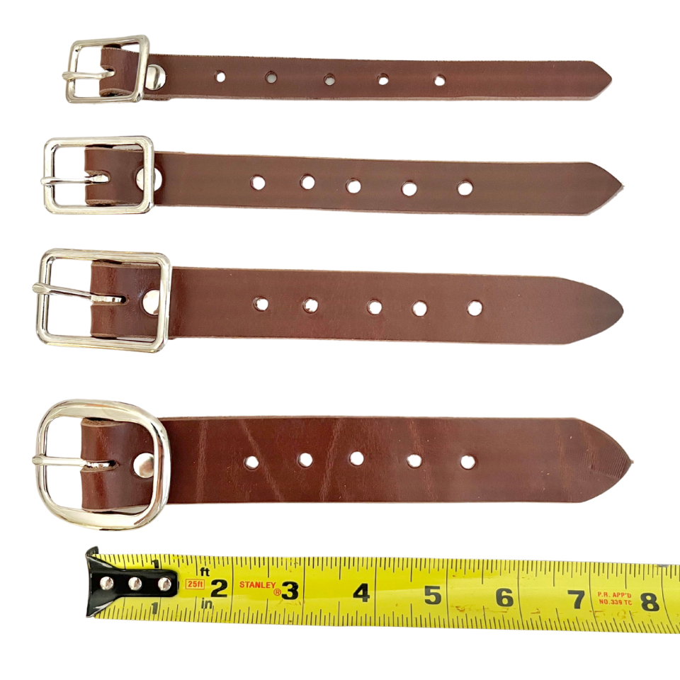 Four sizes of buckle straps next to ruler to see strap length